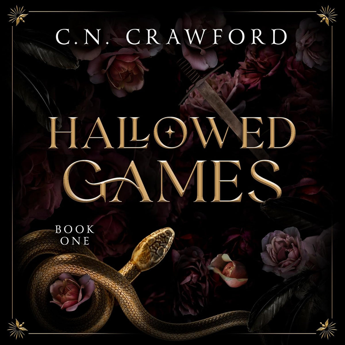 Audiobook