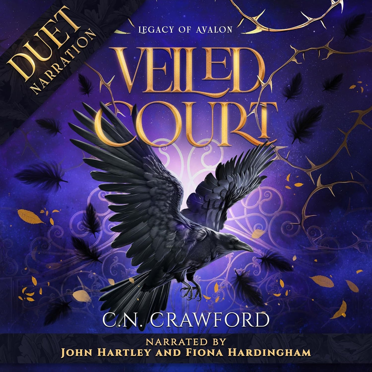 Audiobook
