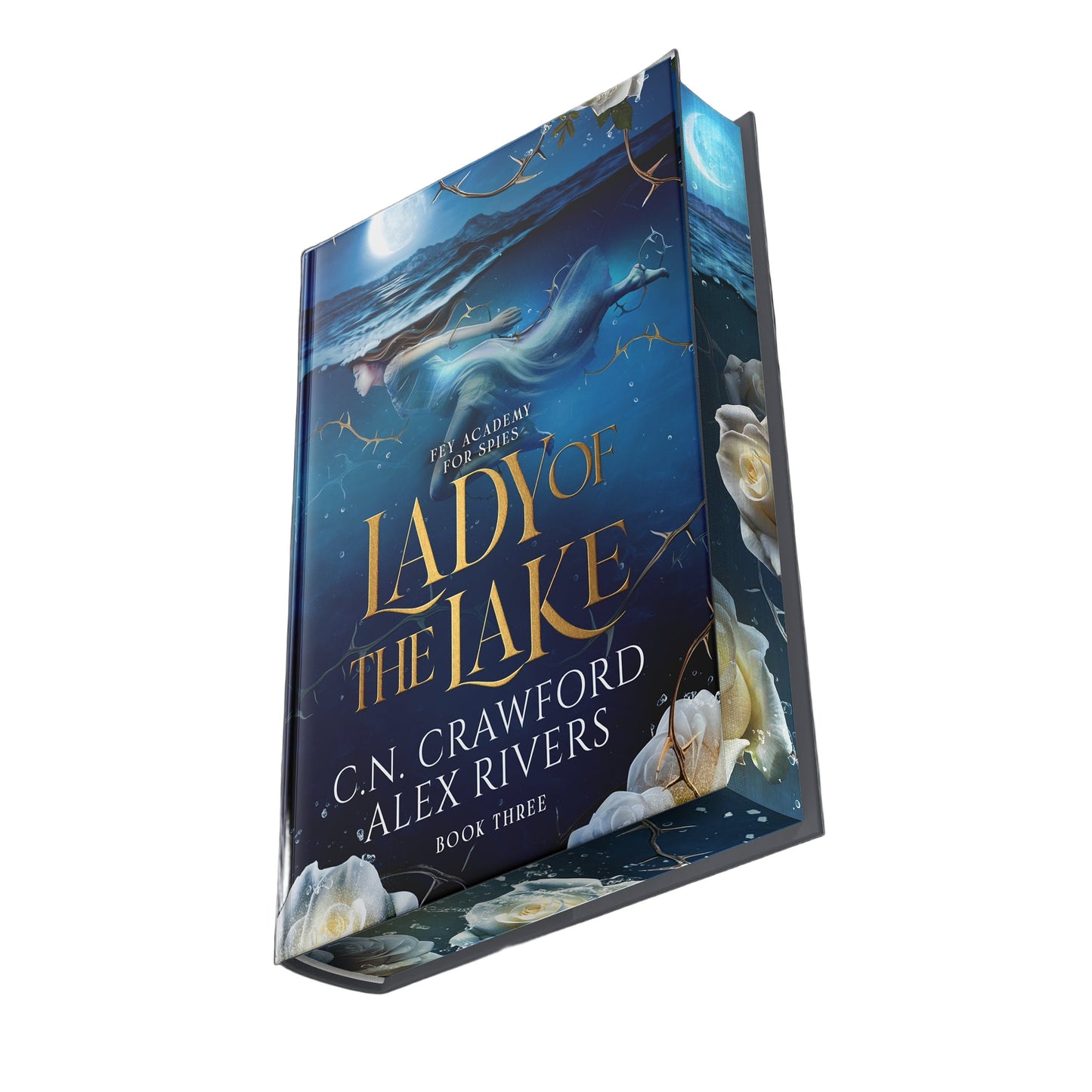 Book titled 'Lady of the Lake' by C.N. Crawford and Alex Rivers on a white background