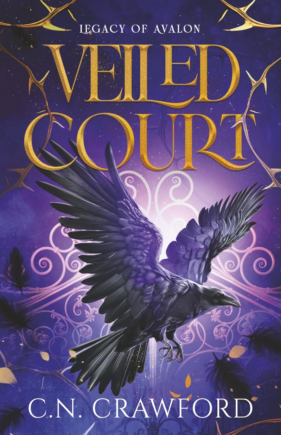 Paperback