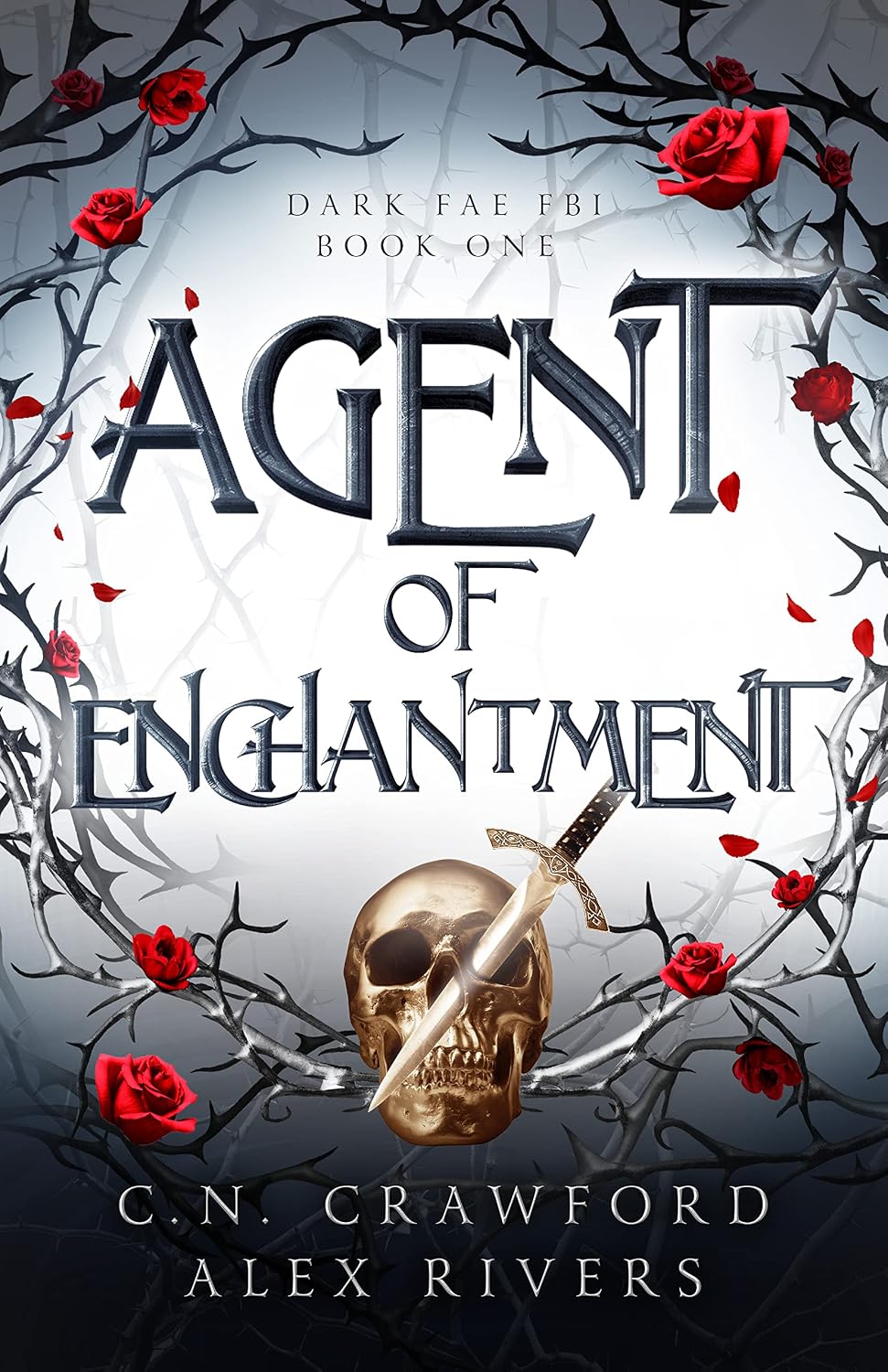 eBook