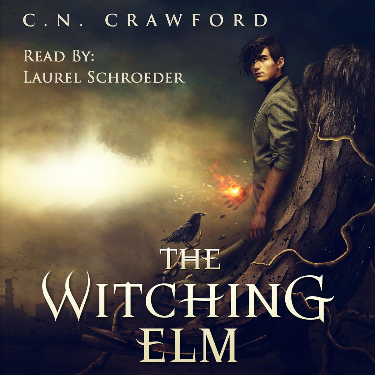 Audiobook