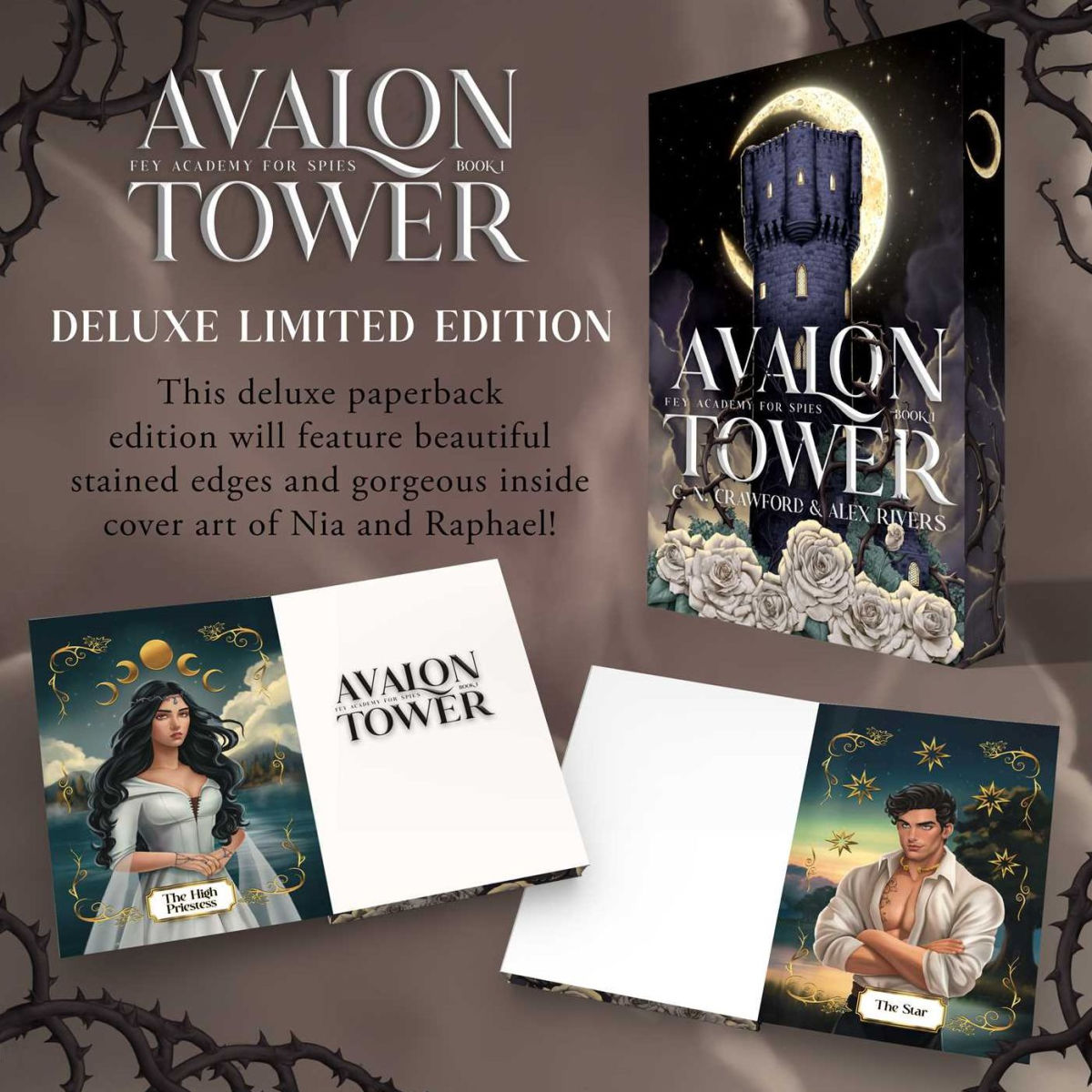Promotional image of 'Avalon Tower' Scarlet Press deluxe limited edition book with cover art and text.