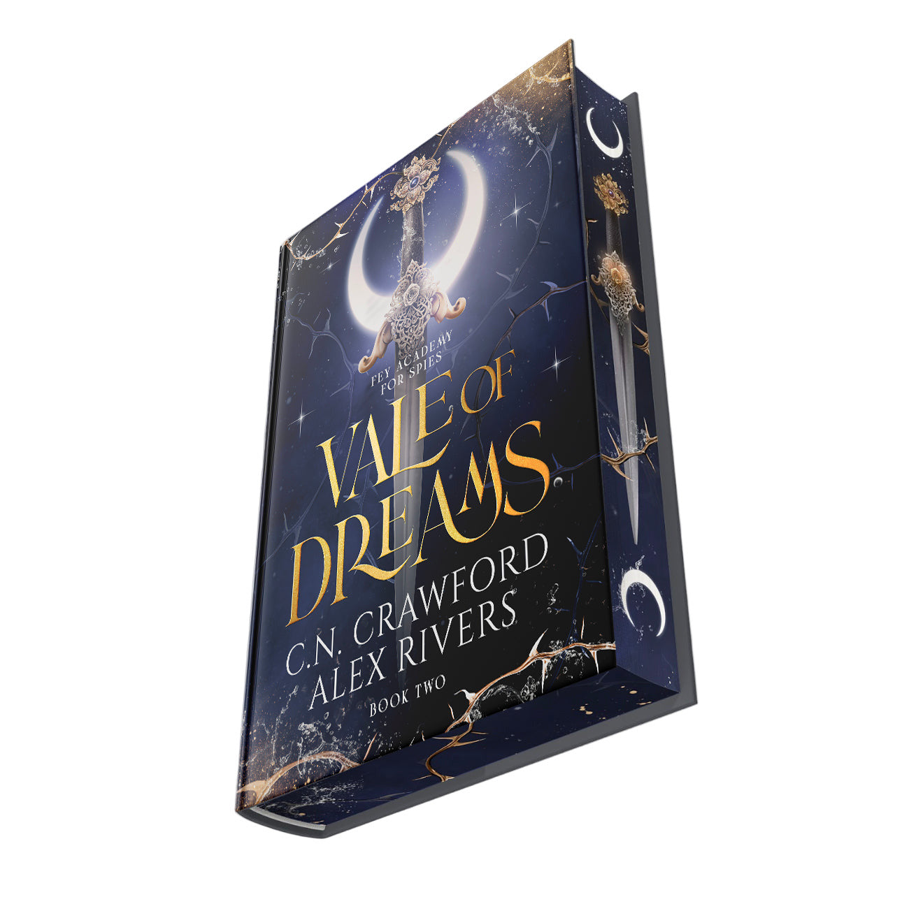 A gold foiled case hardcover of the book 'Vale of Dreams' with a moon and stars design on the cover.
